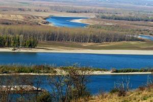 Video Noaptea, ca hotii! Pericol! Zona Corabia – Turnu Magurele – au taiat plopii si i-au dus, noaptea, la Pitesti