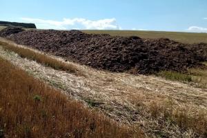 Sursa mirosului insuportabil din Turnu Magurele: asociatia agricola de la Odaia, Barbu, a aruncat gainat de pasare la fantana Dronii, spre Odaia