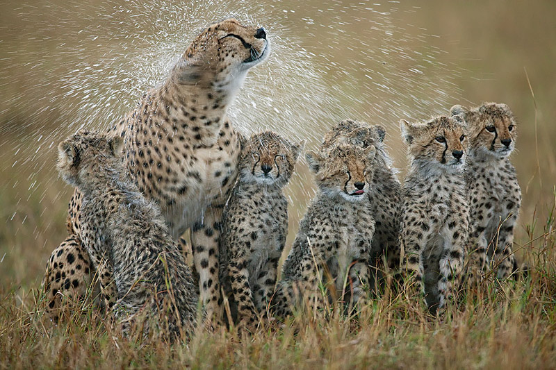 Pronóstico del Tiempo de este jueves 18 de diciembre de 2025 – Periodista Digital