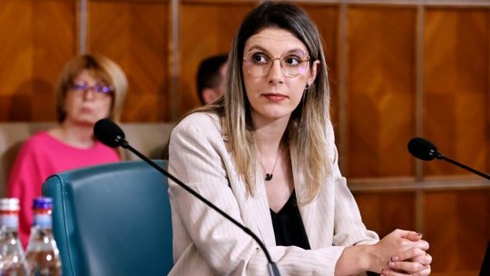 Ministrul mediului, Diana Buzoianu, a anunţat că nu va demisiona