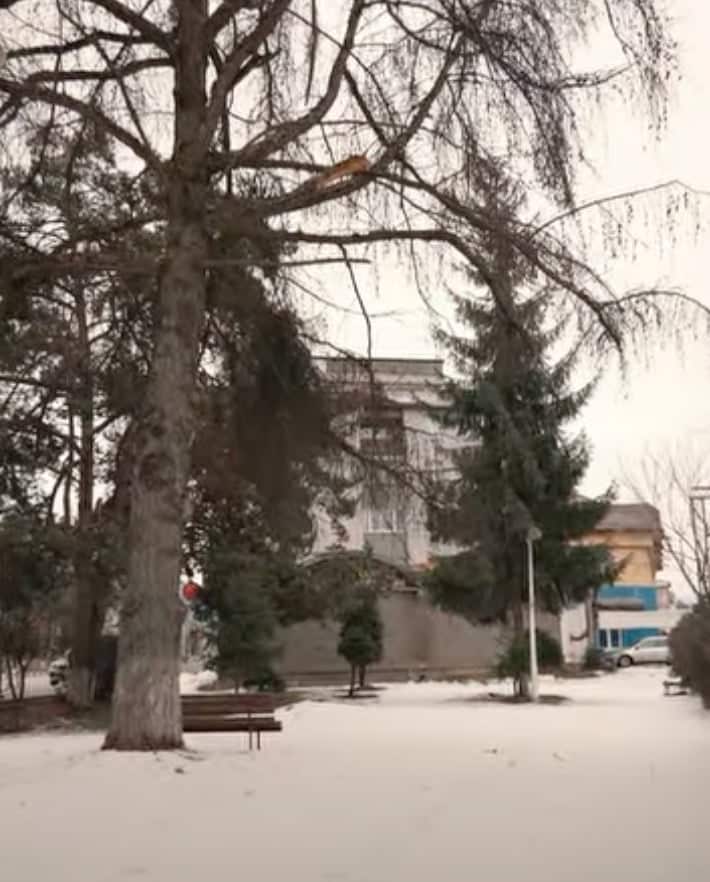 245dacb8-d1b2-4042-a47d-56dfee677355