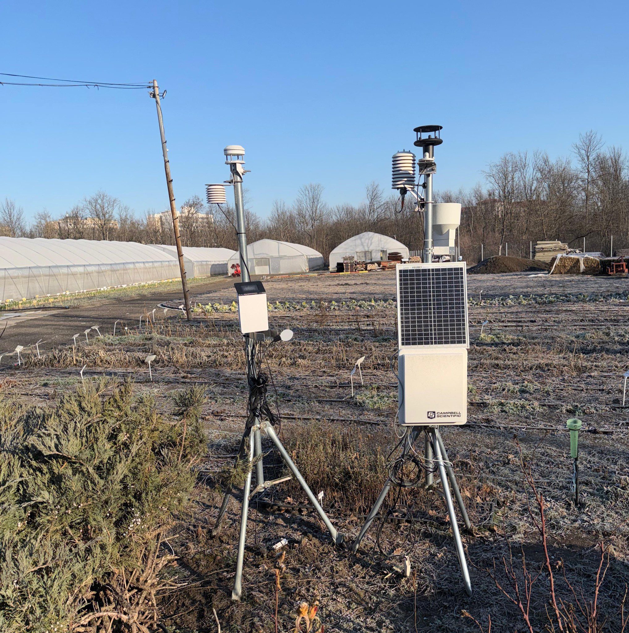 Avertisment de ultimă oră de la cercetătorii Băncii de Resurse Genetice din Buzău. Ce a indicat stația meteo