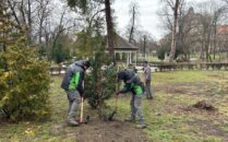 624554088_891994766907312_6925786277961024206_n-209x130-235