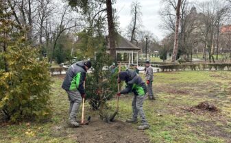 624554088_891994766907312_6925786277961024206_n-337x209-43