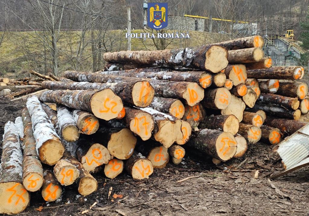 Prins în flagrant un bărbat a adoptat poziția mutului în fața polițiștilor