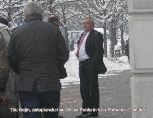 bojin asteapta in fata Primariei