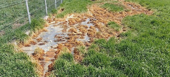 c5bc99193a0e6e14352e6241a06500295