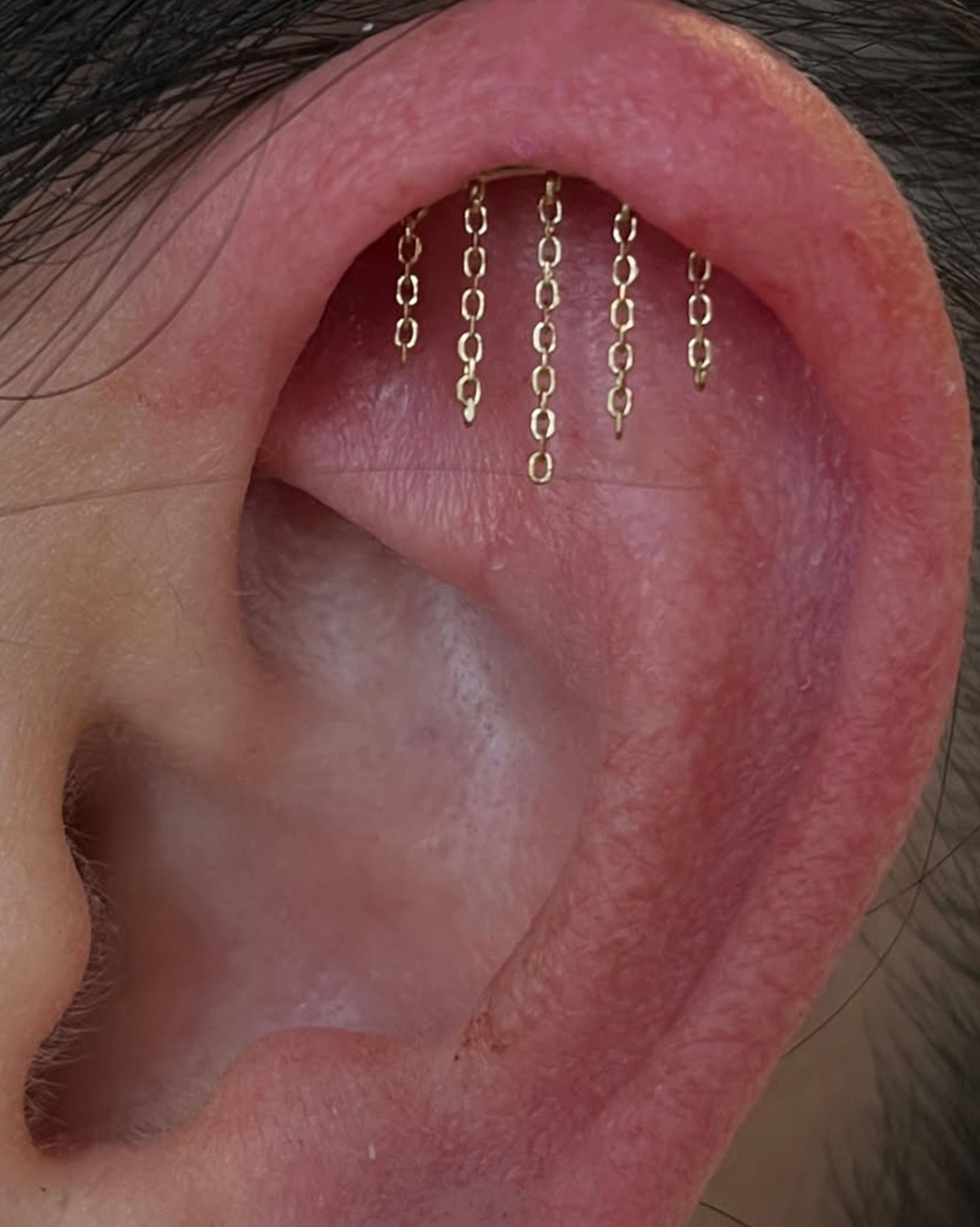 hidden2520helix25202520rook-courtesy2520of2520piercingsbymakenna-1 hidden helix by piercingsbymakenna