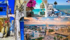 img-20240212-wa00001-230x130-1-11