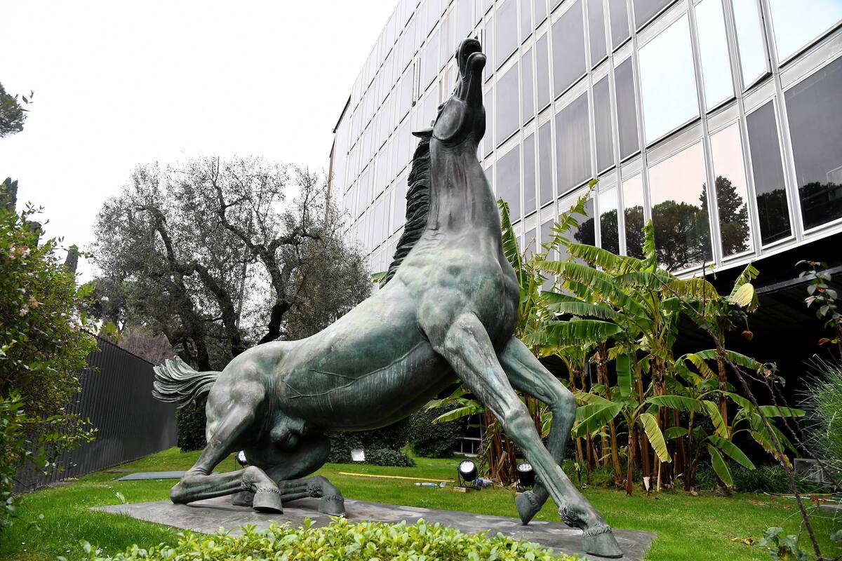 Rai, febbraio d’oro sul fronte pubblicitario: tra Sanremo e Olimpiadi si prevedono numeri da record