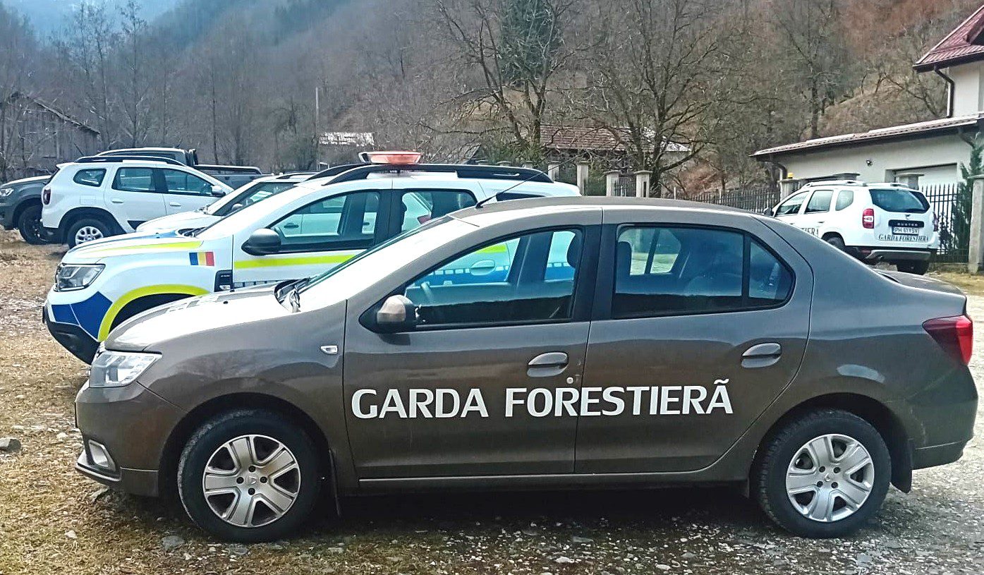 VÂLCEA. Amenzi de mii de lei și 62 metri cubi de material lemnos confiscați – Gazeta Vâlceană