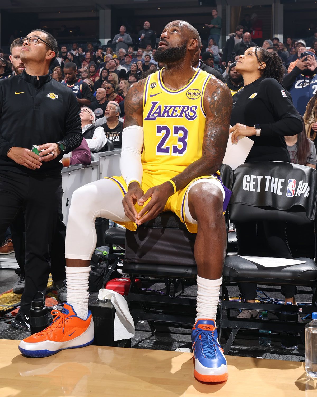 Nike Lebron 23 Hardwood Classic 4