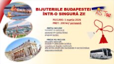 poza-promovare-produs-230x130-18-1