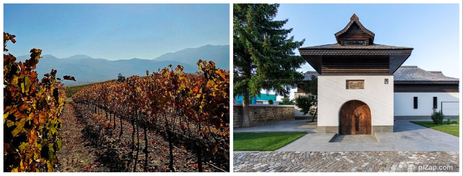 VIDEO | Vrancea între oportunitate și îngrijorare: acordul UE–Mercosur stârnește temeri printre fermieri, dar promite piețe noi pentru exporturi