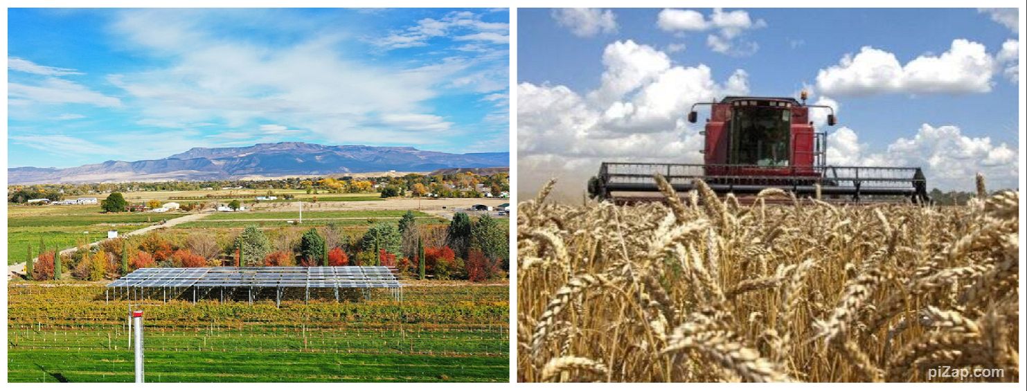 Agricultura din Vrancea, pe val în 2026: România se apropie de un nou record istoric la cereale