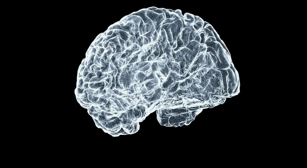 Come funziona lo spazio nel cervello? Ecco cosa succede quando gli orologi cerebrali interni non rispondono