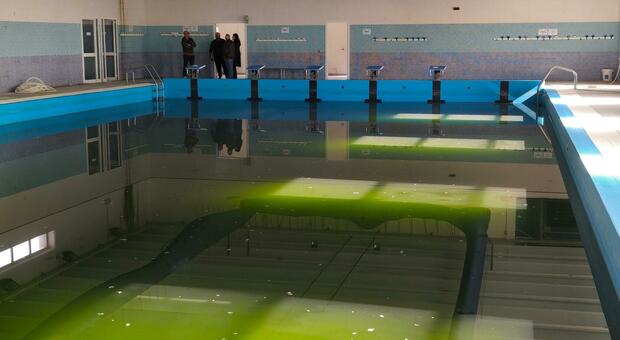 Piscina di Sant’Elia, Macchitella (Icos): «Vogliamo fare le cose in grande»