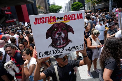 Un manifestante sujeta un cartel que pide justicia para el perro 'Orelha' (oreja en portugués), este domingo en la protesta de São Paulo.