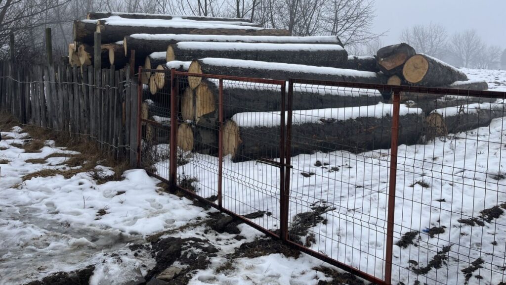 bustean-lemn-1-1024x576-1