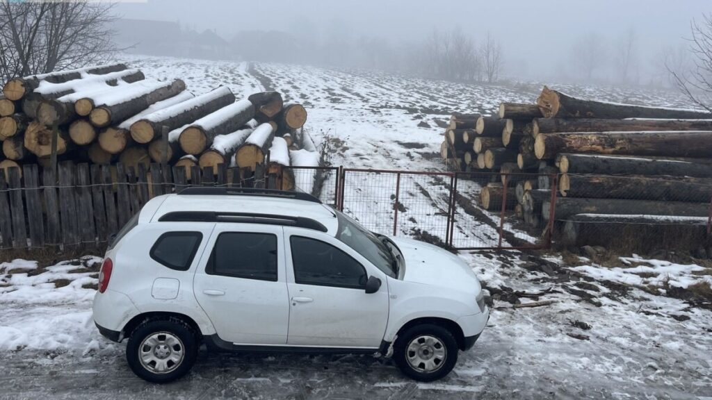 bustean-lemn-2-1024x576-1