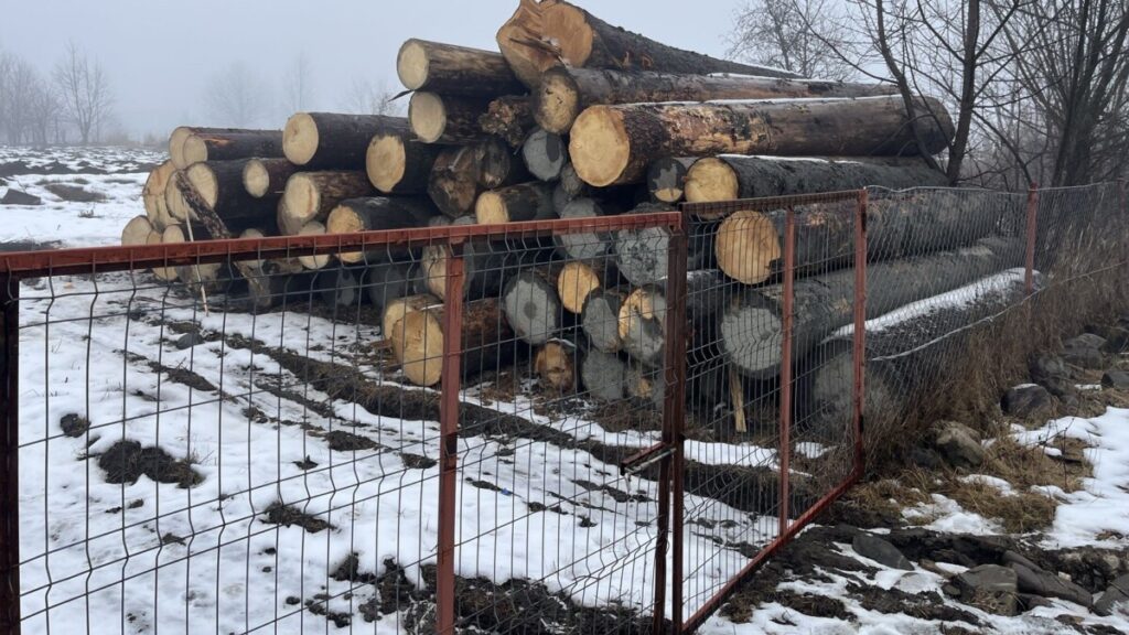 bustean-lemn-3-1024x576-1