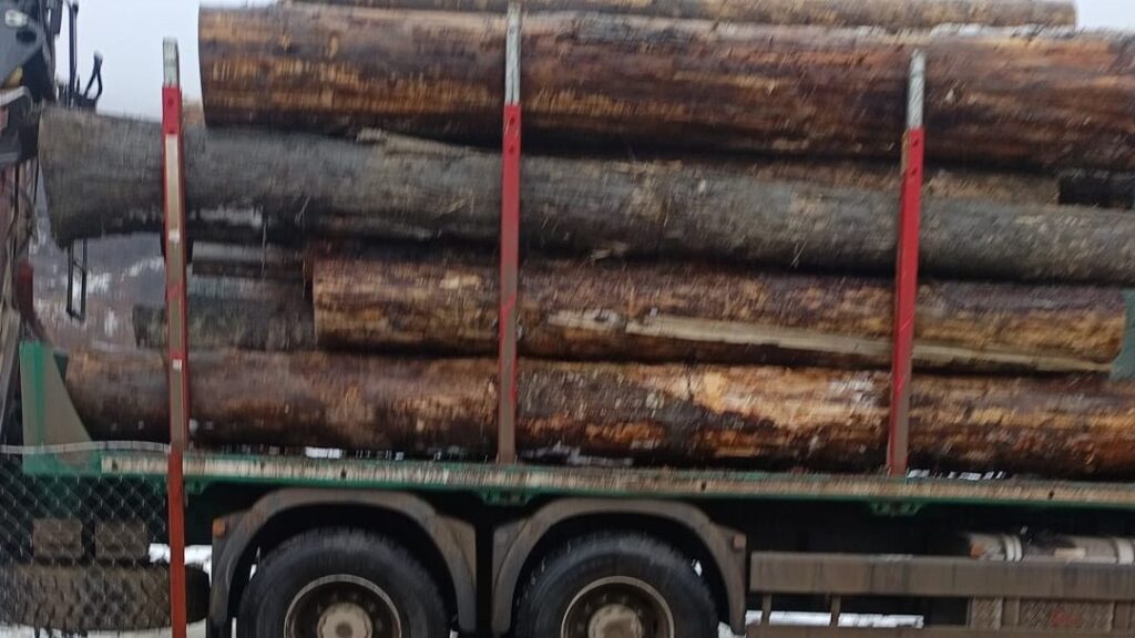 bustean-lemn-4-1024x576-1