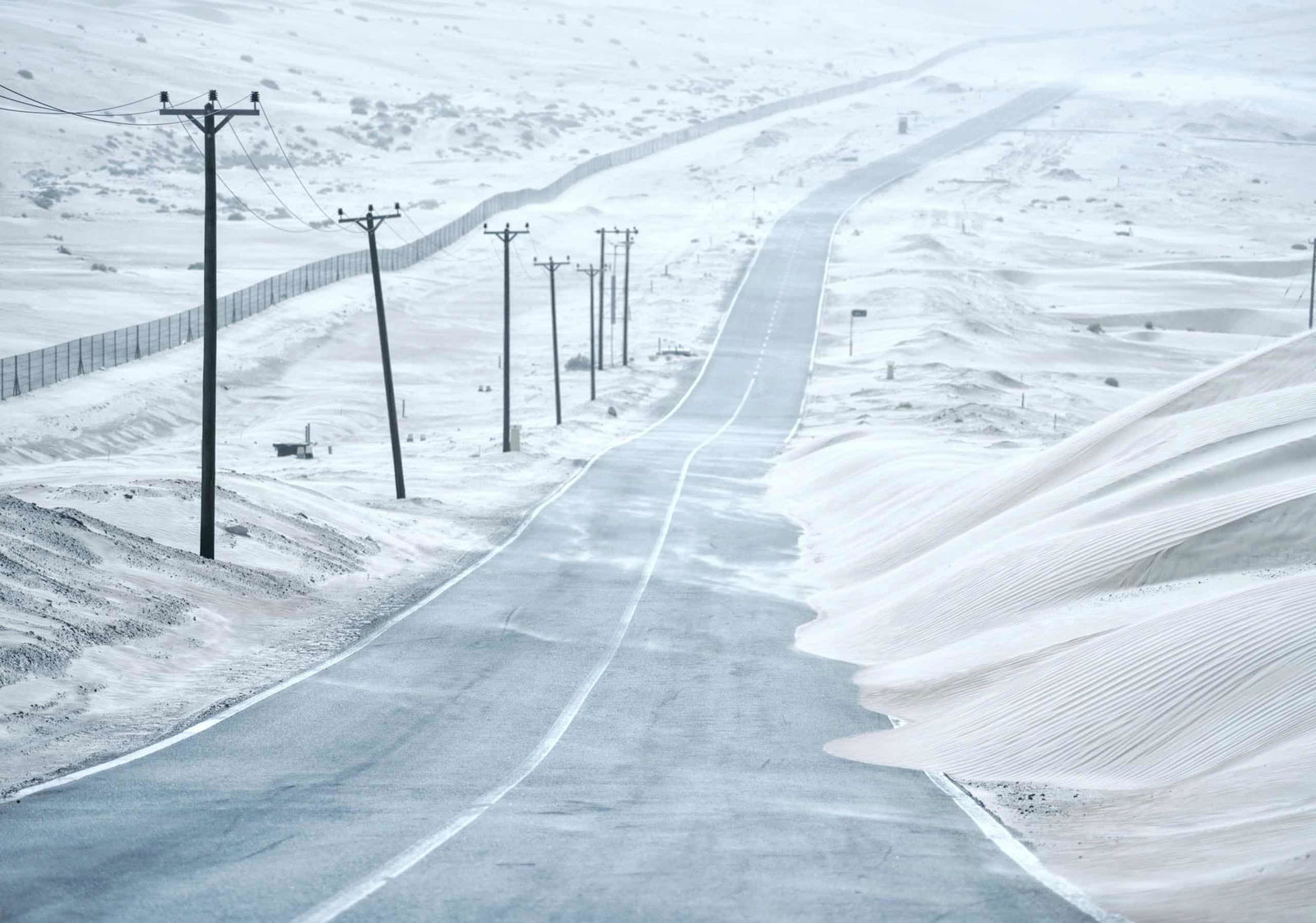 cod-galben-dobrogea-1