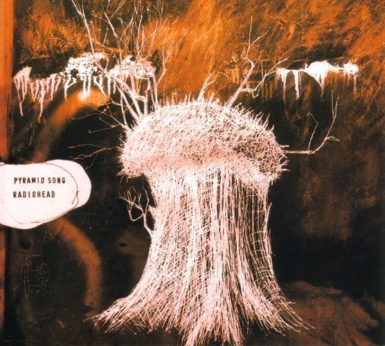 Image may contain Outdoors Nature Chandelier Lamp Adult Person Animal and Sea Life