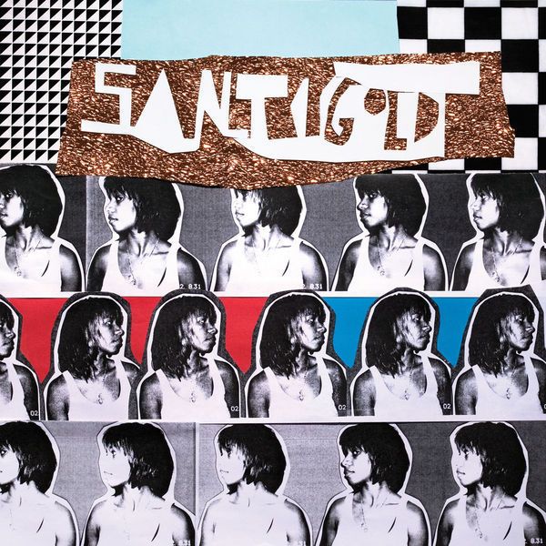 Image may contain Santigold Chantal Goya Santigold Santigold Santigold Santigold Santigold Art Collage and Person