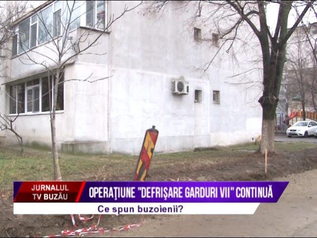 Operaţiune “defrişare garduri vii” continuă