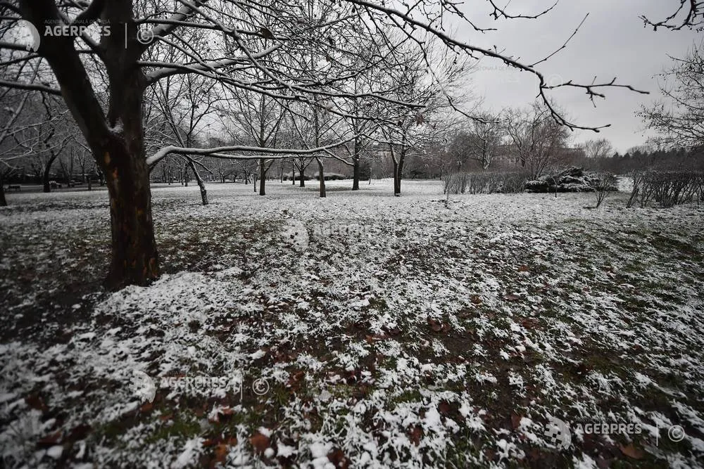 Ajutoare financiare pentru Staţiunea pomicolă Istrița