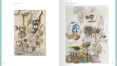 unnamed-3-230x130-172