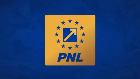 Liberalii îi cer preşedintelui PSD, Sorin Grindeanu, să se hotărască dacă se află la guvernare sau în opoziţie