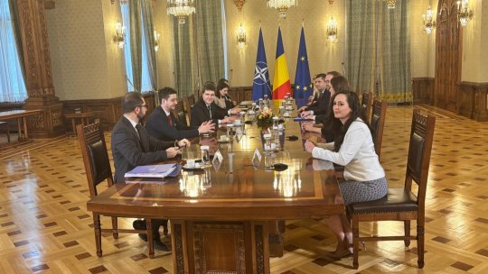 Poziţiile partidelor politice din coaliţie, în cadrul consultărilor de la Palatul Cotroceni