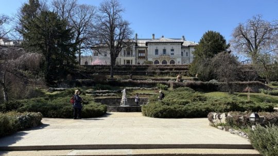 Partidele și-au stabilit mesajele cu care vor merge la consultările de la Palatul Cotroceni