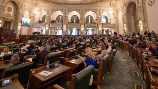 Proiectul de modificare a legislației în domeniul integrității, respins de plenul Senatului