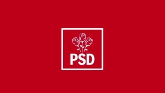 Două variante agreate de conducerea PSD pentru a susţine un viitor guvern